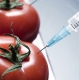 Уже с 2015 года в ЕС могут полностью запретить ГМО