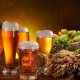 Братислава и Киев оказались лидерами в рейтинге городов с самым дешевым пивом