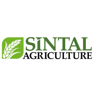 Агрохолдинг «Sintal Agriculture» больше не будет заниматься производством сахара