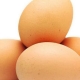 Ожидаемый объем экспорта яиц составляет 650 – 700 млн. штук