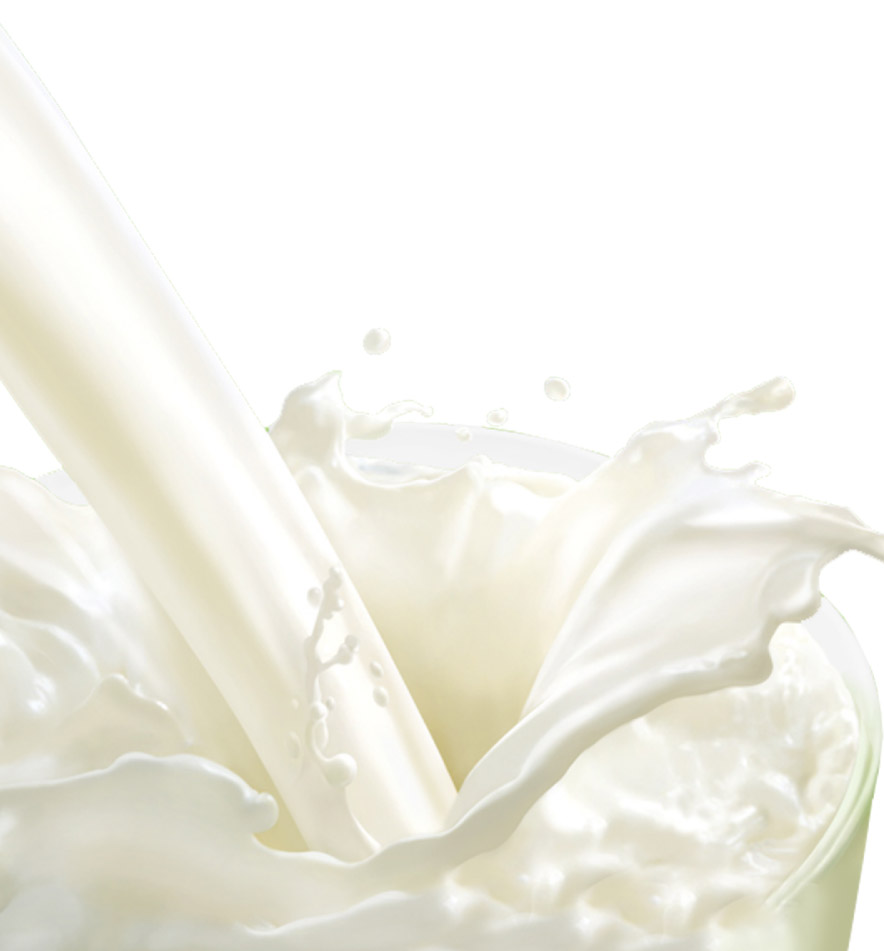 Украина начала экспортировать молочную продукцию в Китай 