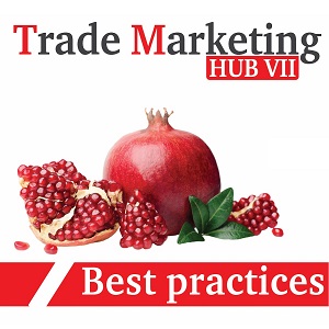 TRADE MARKETING HUB VII «Best practices»: новые технологии в области трейд-маркетинга и работы ритейла