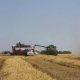 В Украине возможно увеличение агропроизводства вдвое