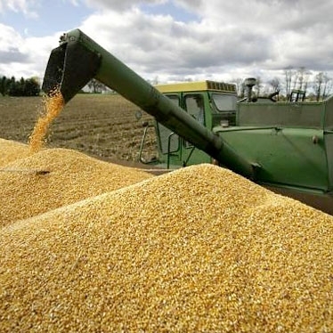 Запрет на экспорт зерна будет отменен