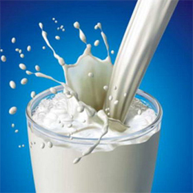 Молочный Альянс будет продаваться на рынке Европы 