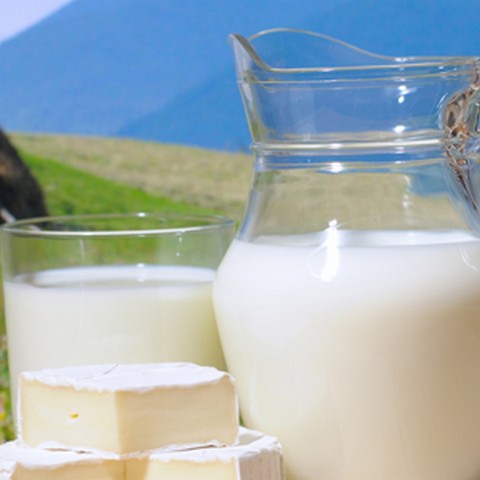 “Ружин-молоко” получило $ 230 тыс. кредита  
